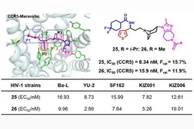 中国科研人员发现能有效抑制艾滋病毒的新型拮抗剂图片