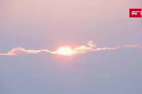 新疆乌鲁木齐：活畜交易市场恢复营业 交易红火图片