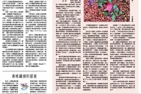 走向餐桌的人参图片