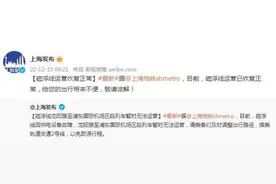 上海地铁：磁浮线运营已恢复正常图片