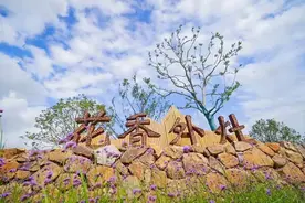 书院镇：着力推动高质量发展，打造现代化城乡融合、产城融合的生态未来城图片