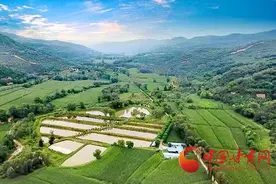 灵台：养殖甲鱼走上致富路图片