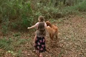 俩女孩在森林里迷路几个小时 英勇狗狗全程保护图片