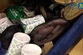 上海浦东机场入境行李被加海关锁？箱内简直离谱图片