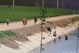 聊城正能量网络人物⑤|阳谷四位好心人勇救落水儿童图片