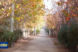 肥城市：易地搬迁“搬”出幸福新生活图片