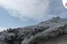 广东“下雪”啦！清远连州的雾凇景观好震撼图片