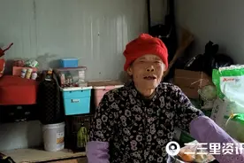 凡人故事|76岁老人收养70余只流浪狗，用积蓄为它们建了一个家图片