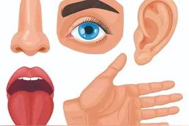 五感对我们的健康有多重要？图片