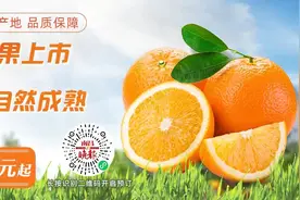 最新消息！暂停服务图片