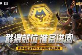 英超俱乐部也玩电竞 狼队电竞正式进军PEL和平精英职业联赛图片