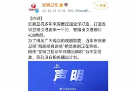 安徽卫视否认明年将播出韩剧：目前没有相关计划图片