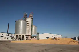 科技赋能“粮囤子” 粮食“住”进好房子图片