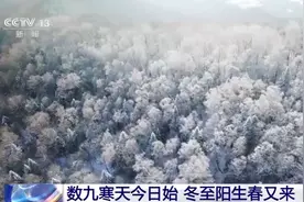 数九寒天今日始 冬至阳生春又来图片