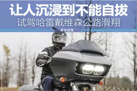 种了一个根本拔不动的草 试驾哈雷公路滑翔图片