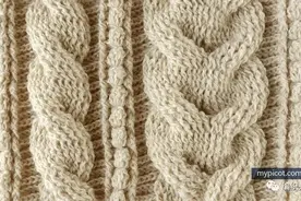 棒针钩针花样一家亲，像棒针阿兰花样的钩针麻花组合花样教程，赶紧收藏图片