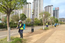 温暖过冬！行道树刷白“穿新衣”图片