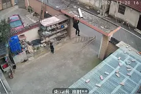 “4岁男孩奋力扶梯救奶奶”，火爆全网的小男子汉是富阳的图片