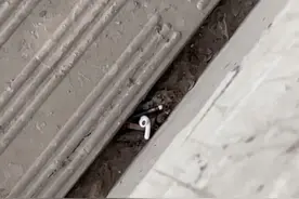 乘客物品不慎掉进高铁站台铁轨该如何处理？铁路12306客服回应……图片