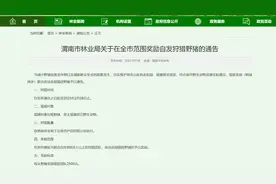 陕西渭南狩猎野猪一头奖励2500元，野猪猎人：成本高难度大，有时还会倒贴钱图片