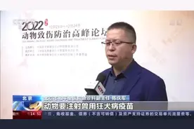 我国每年约4000万人被猫狗咬伤 正确防治要做好这几点图片