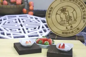 红兔糍毛团图片