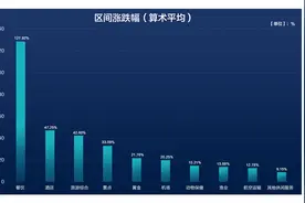 【数说2022之“记”】过去一年哪些板块涨幅靠前？分析师对相关板块后市怎么看？图片
