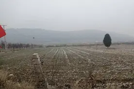 冬天的秘密图片