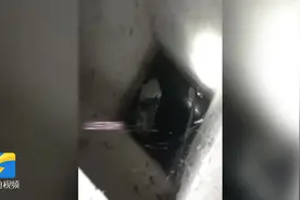 小猫掉入两米深管道井 滨州消防员暖心营救图片