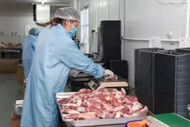 一年卖羊8000头！崇明这家基地的羊肉为啥那么火？图片