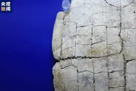 转发扩散！认出一个字，最高奖10万元！图片