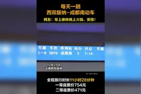 11.5小时！新成昆铁路全线开通 首发成都南至西双版纳城际动车图片