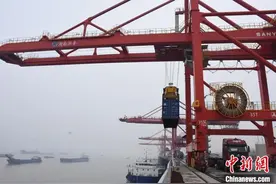 湖南首批直接进境原木运抵岳阳城陵矶港图片