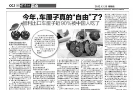今年，车厘子真的“自由”了？智利出口车厘子近90%被中国人吃了图片