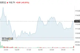 “木头姐”和韩国散户拼命加仓！特斯拉止步七连跌，盘中一度涨超6%创月内最大涨幅图片