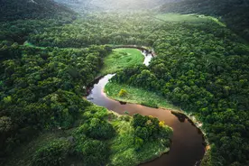 2022年度图片·动物④｜聚焦亚马孙，保护地球最大生物圈图片