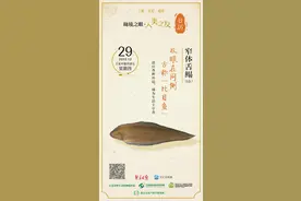 秘境之眼·人类之友 日历 | 窄体舌鳎（tǎ）：双眼在同侧，古称“比目鱼”图片