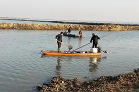 放生鲇鱼死亡2万斤，女子缴9万处置费：还因破坏生态遭索赔图片