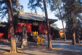 少林寺免票了，快来开启您的新年之旅图片