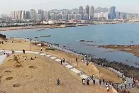 新年第一天，青岛小麦岛景区人气十足图片