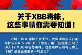 会造成新一轮传染高峰吗？关于XBB毒株，一图读懂+专家详解图片