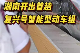 全车实现Wifi覆盖！湖南开出首趟复兴号智能型动车组图片
