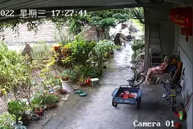 “镜头对准爷爷奶奶”，年轻人隔屏守望故乡图片