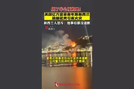 跨国搞新年烟花秀引发火灾 美富豪惹怒新西兰人图片