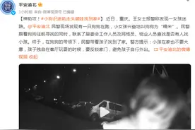 神助攻！小狗识途，帮助走失萌娃找到家图片