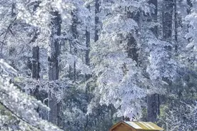 入园须知，建议收藏点赞！图片