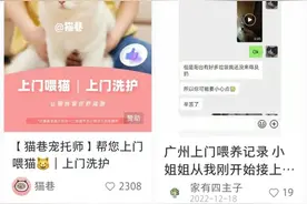 35元/时的遛狗喂猫，是自由职业天花板？图片