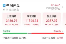 重磅利好，国家补贴逾35亿！1200亿巨头盘中涨停，低估值+大幅回撤的白马股有这些图片