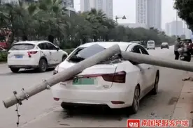惊险！南宁街头一电线杆倒下，有小车被砸中！图片