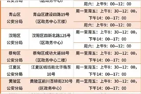1月9日起武汉实行出入境业务预约办理图片